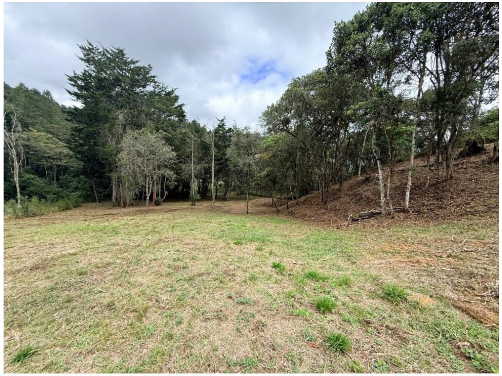 Land in El chuscal (2514 m²) for Sale - 4