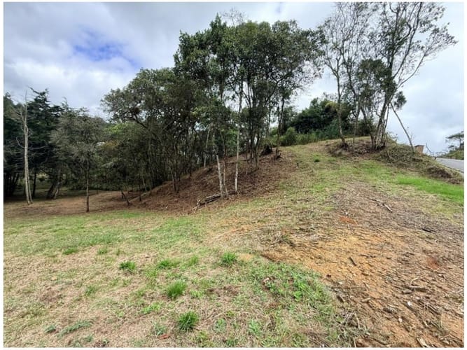 Lote en venta en El Chuscal, El Retiro, 2514 m² · foto 5 de 24