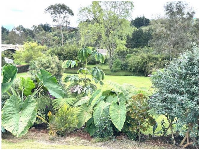 Lote en venta en Puente Pelaez, El Retiro · foto 4 de 15