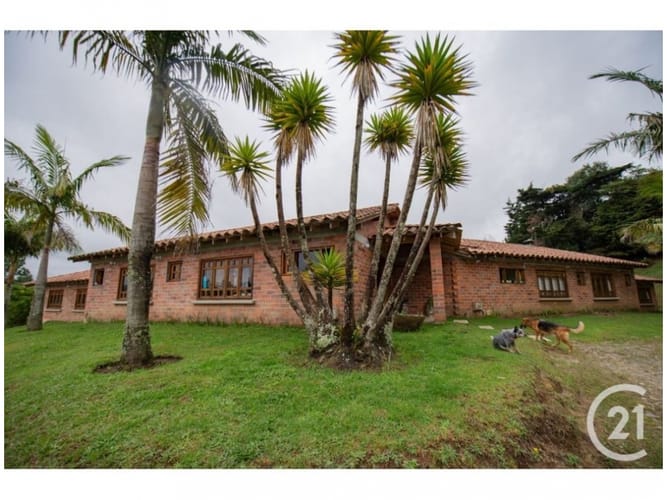 Casa de 10 alcobas en venta en Loma Del Escobero, Envigado, 487 m² · foto 4 de 24