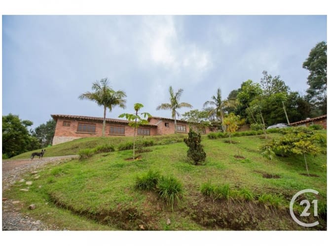 Casa de 10 alcobas en venta en Loma Del Escobero, Envigado, 487 m² · foto 8 de 24