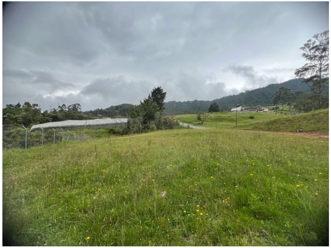 Lote en venta en Carrizales, Envigado, 1825 m² · foto 5 de 14