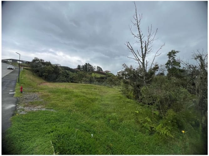 Lote en venta en Carrizales, Envigado, 1825 m² · foto 6 de 14