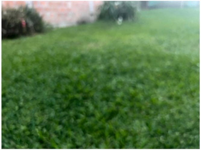 Lote en venta en La Doctora, Sabaneta, 220 m² · foto 7 de 9