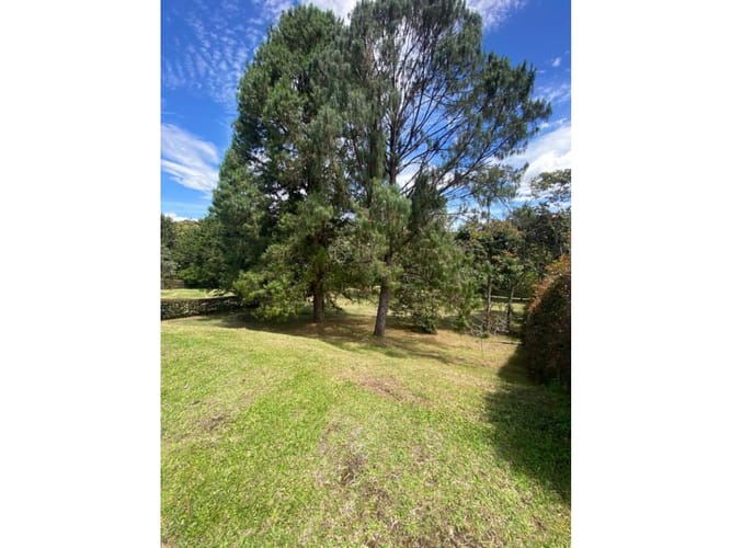 Lote en venta en El Carmen De Viboral, El Carmen de Viboral, 3023 m² · foto 3 de 5