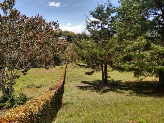 Lote en venta en El Carmen De Viboral, El Carmen de Viboral, 3023 m² · foto 5 de 5