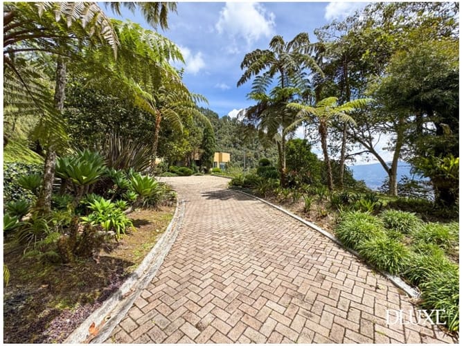 Casa de 3 alcobas en venta en El Poblado, Medellín, 540 m² · foto 17 de 20