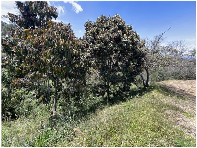 Lote en venta en Monta�Ez, Guarne, 3800 m² · foto 5 de 7