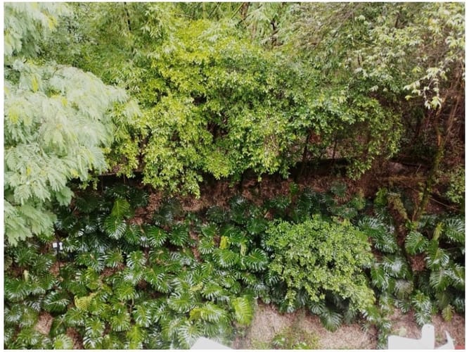 Apartamento de 4 alcobas en venta en Fátima, Medellín, 213 m² · foto 10 de 10