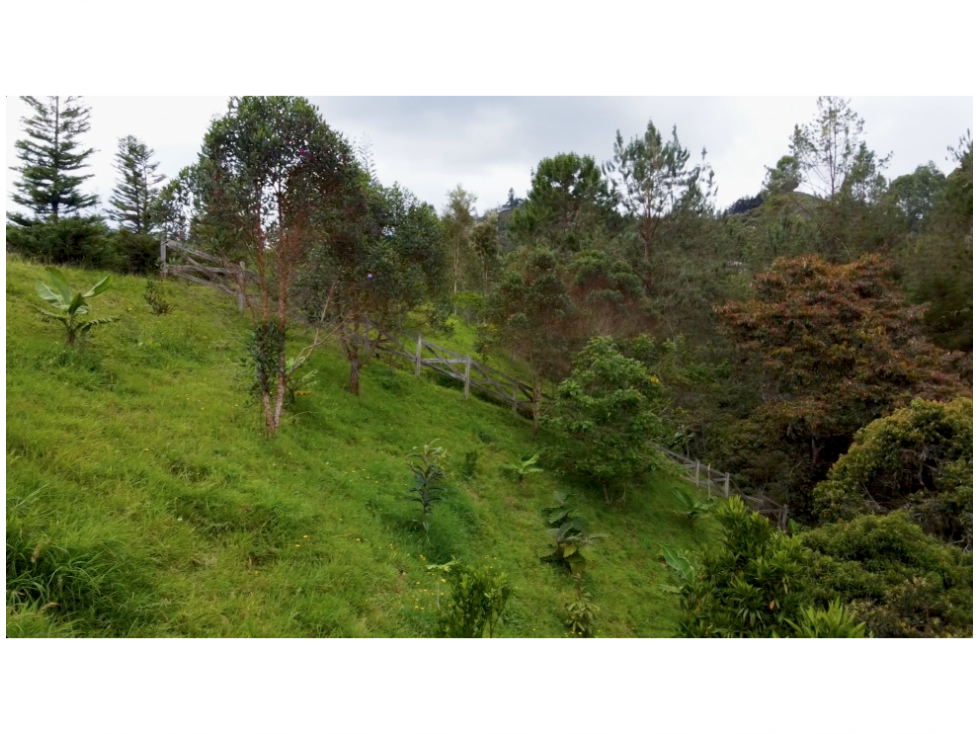 Land in Lejos del nido (2833 m²) for Sale - 4