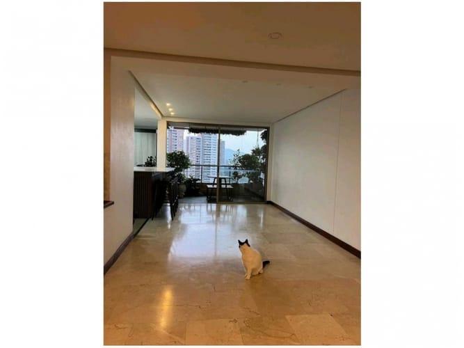 Apartamento de 4 alcobas en venta en El Poblado, Medellín, 243 m² · foto 7 de 24