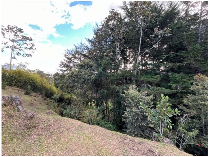 Lote en venta en Quirama, El Carmen de Viboral, 3800 m² · foto 7 de 8