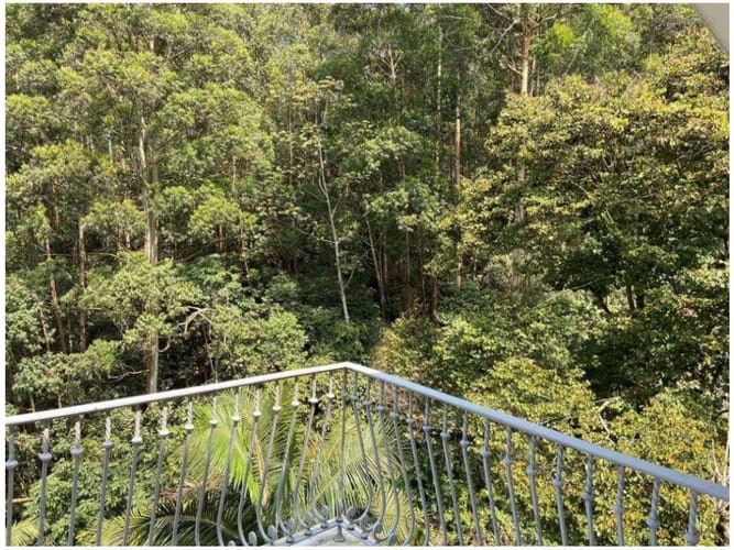 Casa de 9 alcobas en venta en El Poblado, Medellín, 1200 m² · foto 20 de 24