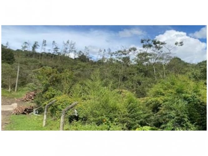 Lote en venta en Alto De La Virgen, Guarne, 80173 m² · foto 3 de 23