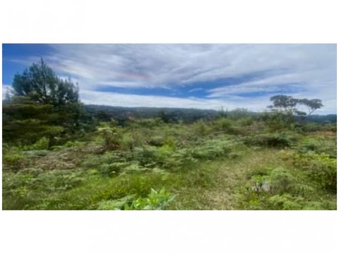 Lote en venta en Alto De La Virgen, Guarne, 80173 m² · foto 5 de 23