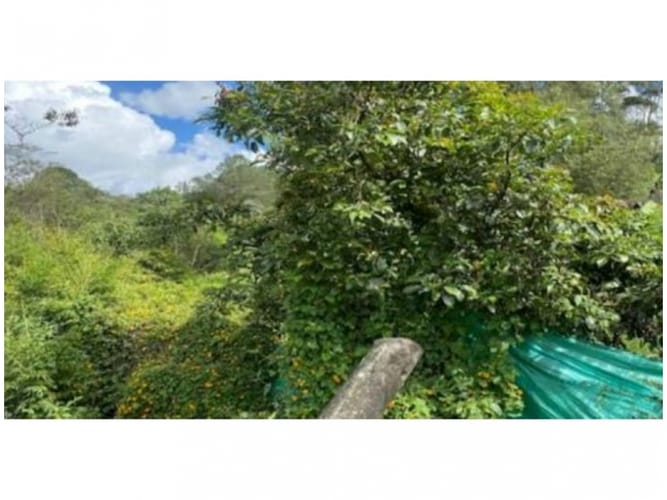 Lote en venta en Alto De La Virgen, Guarne, 80173 m² · foto 9 de 23
