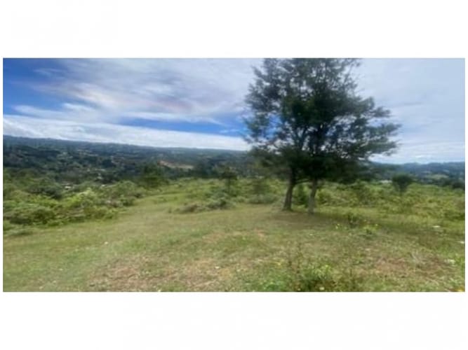 Lote en venta en Alto De La Virgen, Guarne, 80173 m² · foto 10 de 23