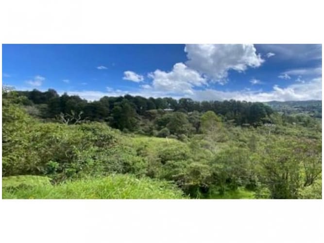 Lote en venta en Alto De La Virgen, Guarne, 80173 m² · foto 11 de 23