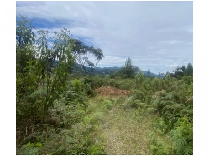 Lote en venta en Alto De La Virgen, Guarne, 80173 m² · foto 12 de 23