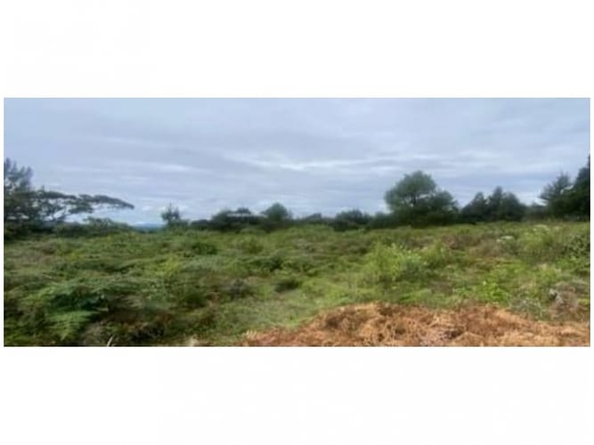 Lote en venta en Alto De La Virgen, Guarne, 80173 m² · foto 15 de 23
