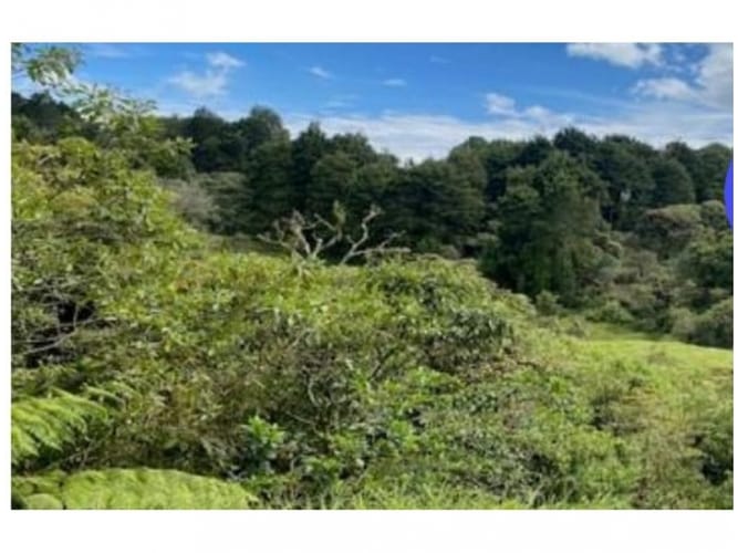 Lote en venta en Alto De La Virgen, Guarne, 80173 m² · foto 18 de 23