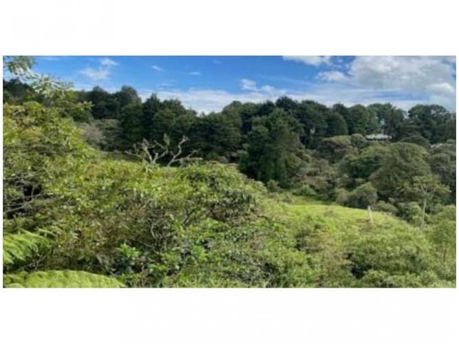 Lote en venta en Alto De La Virgen, Guarne, 80173 m² · foto 19 de 23