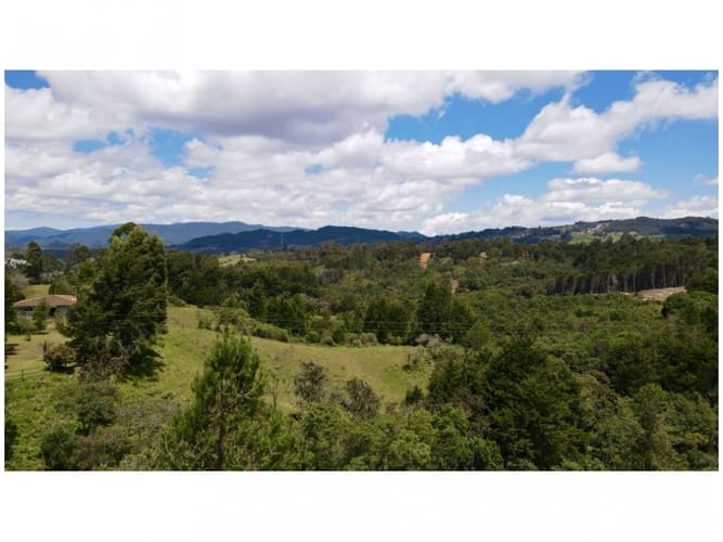 Lote en venta en Vía Las Palmas, Envigado, 2400 m² · foto 4 de 5