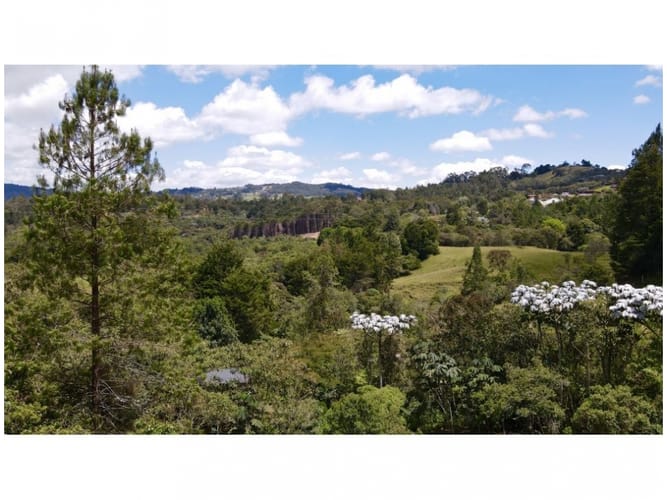 Lote en venta en Vía Las Palmas, Envigado, 2400 m² · foto 5 de 5