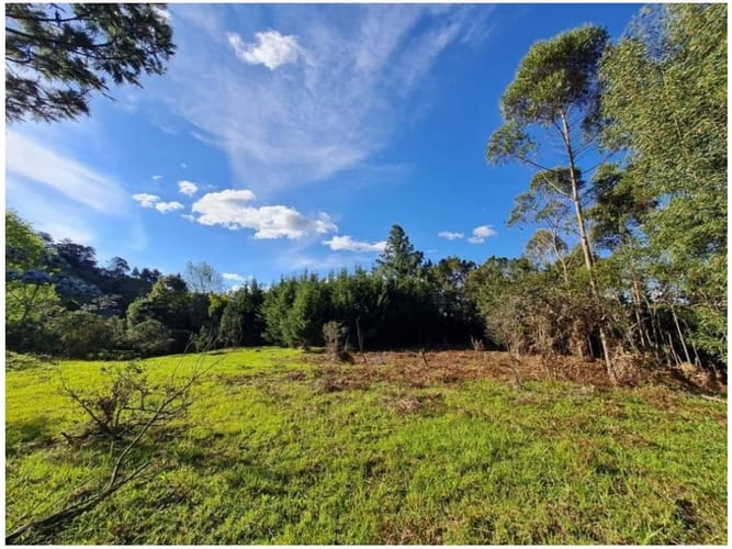 Lote en venta en Yarumal, Rionegro, 12800 m² · foto 5 de 6