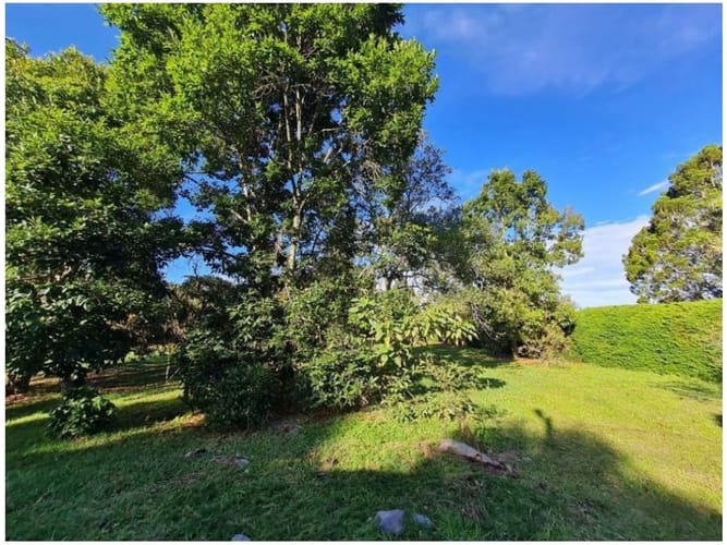 Lote en venta en Yarumal, Rionegro, 12800 m² · foto 6 de 6