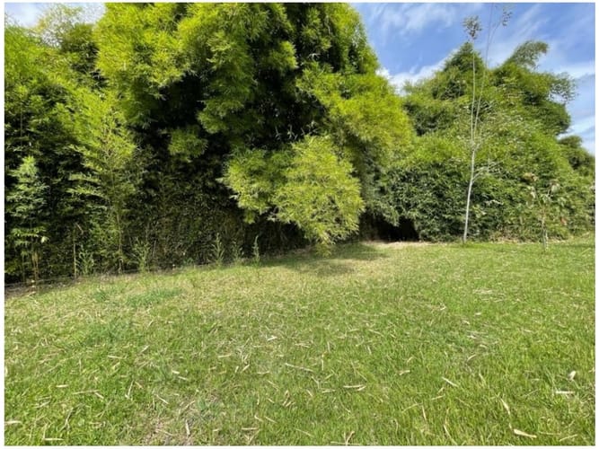 Lote en venta en Cabeceras De Llanogrande, Rionegro, 3200 m² · foto 3 de 17