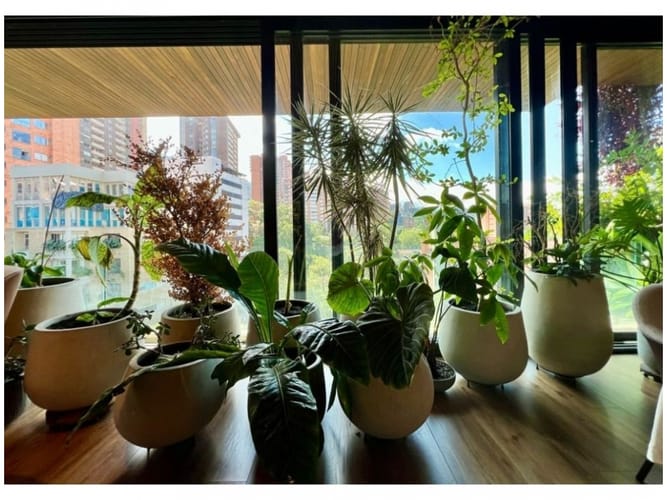 Apartamento de 2 alcobas en venta en El Poblado, Medellín, 238 m² · foto 6 de 12