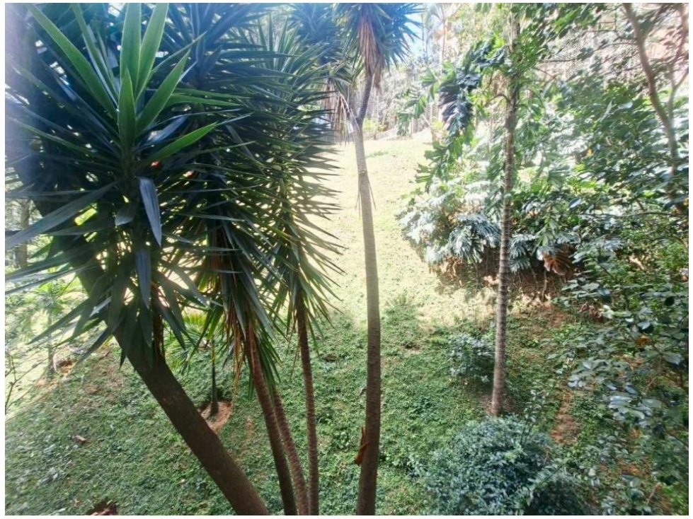 Apartamento en venta en Loma Del Esmeraldal, Envigado · foto 13 de 15