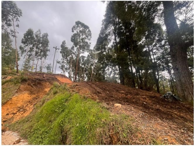 Lote en venta en Vía Las Palmas, Envigado, 1528 m² · foto 3 de 7