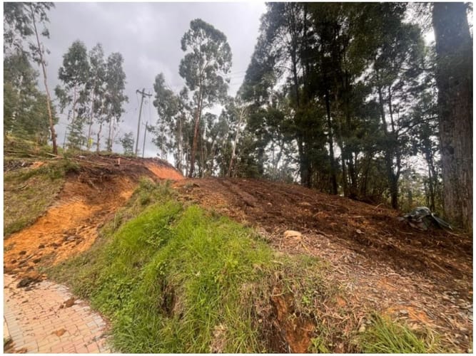 Lote en venta en Vía Las Palmas, Envigado, 1528 m² · foto 5 de 7