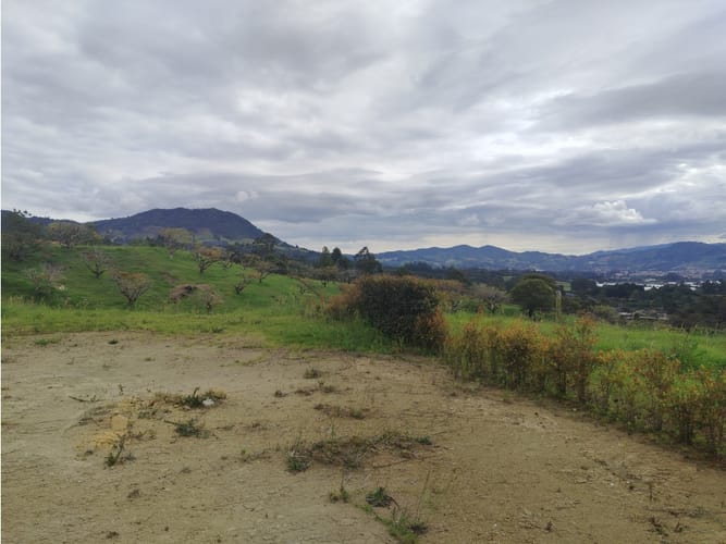 Lote en venta en Guamito, La Ceja, 2602 m² · foto 4 de 15