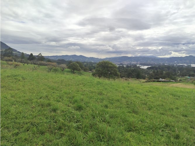 Lote en venta en Guamito, La Ceja, 2602 m² · foto 5 de 15