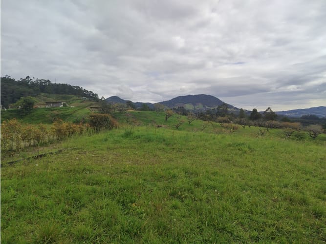 Lote en venta en Guamito, La Ceja, 2602 m² · foto 6 de 15