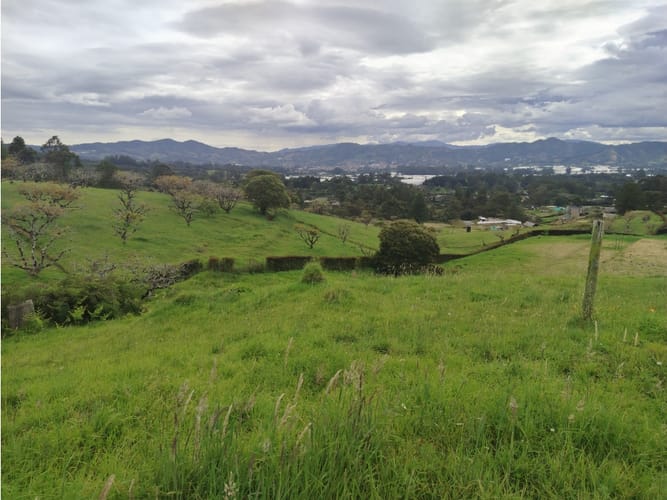Lote en venta en Guamito, La Ceja, 2602 m² · foto 7 de 15