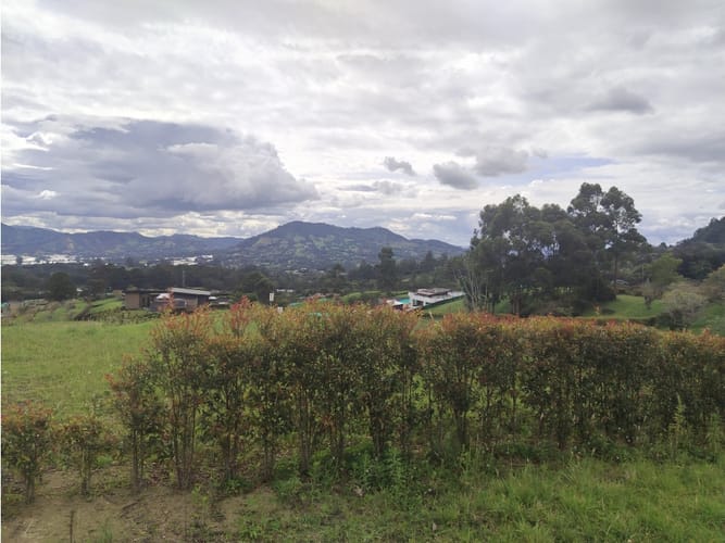 Lote en venta en Guamito, La Ceja, 2602 m² · foto 9 de 15