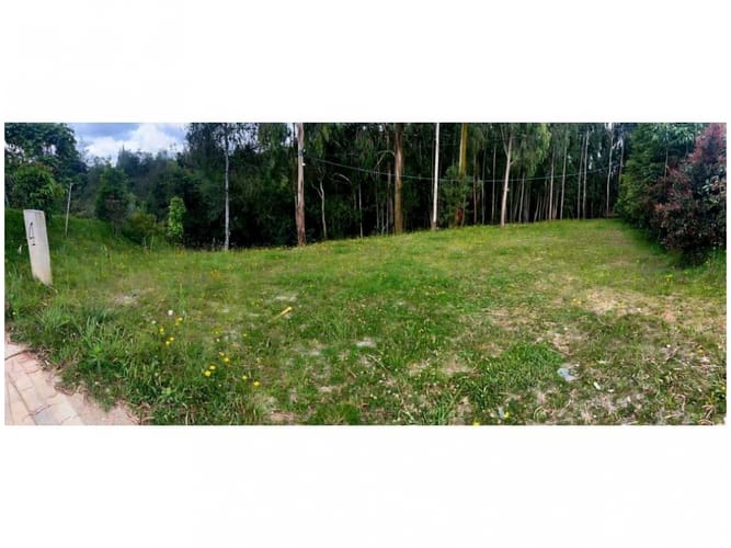 Lote en venta en Vía Las Palmas, Envigado, 1974 m² · foto 6 de 9