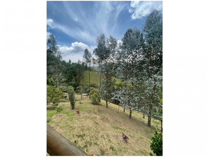 Casa de 3 alcobas en venta en La Encarnacion, El Retiro, 300 m² · foto 17 de 24