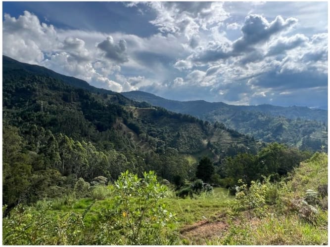 Lote en venta en El Salado, Envigado, 1958 m² · foto 3 de 5
