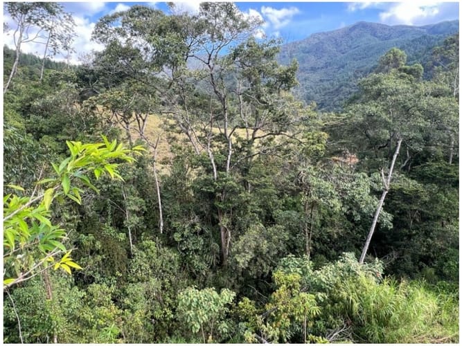 Lote en venta en El Salado, Envigado, 1958 m² · foto 5 de 5