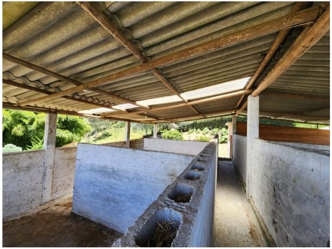 Casa de 3 alcobas en venta en San Jose, Guarne, 250 m² · foto 14 de 14