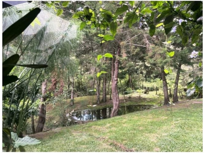 Casa de 4 alcobas en venta en Pantanillo, El Retiro, 484 m² · foto 11 de 20