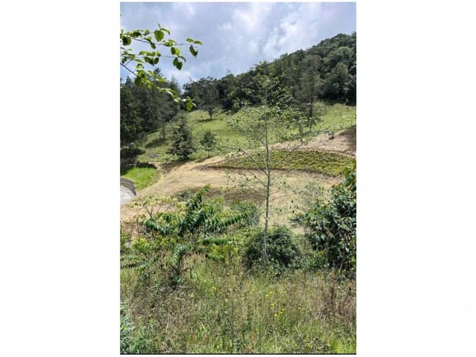 Lote en venta en Pantanillo, El Retiro, 878 m² · foto 3 de 11
