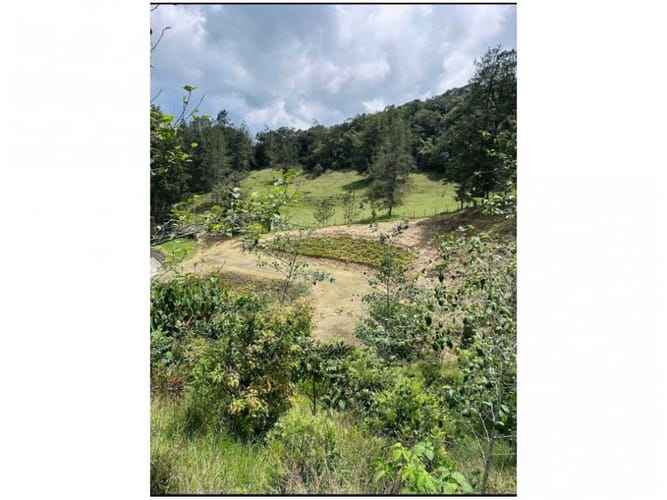 Lote en venta en Pantanillo, El Retiro, 878 m² · foto 4 de 11