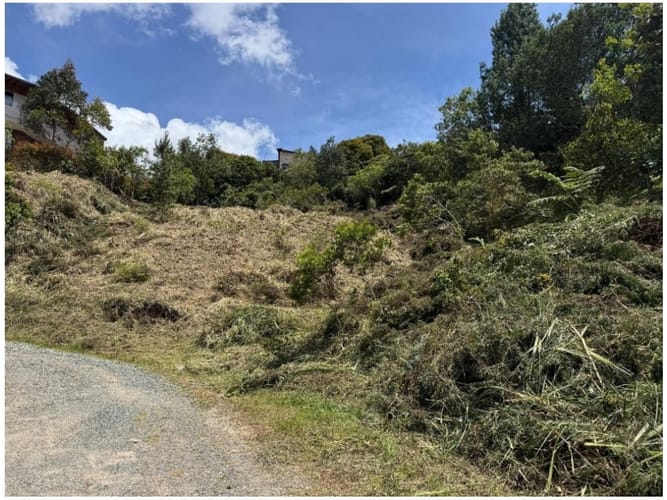 Lote en venta en Carrizales, Envigado, 1748 m² · foto 4 de 9