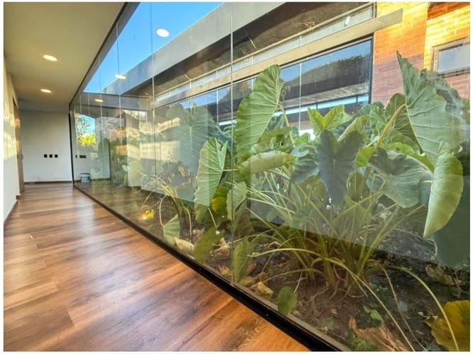 Casa de 3 alcobas en venta en Vía Las Palmas, Envigado, 316 m² · foto 15 de 24